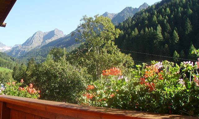 Ausblick - Appartement Brugger - Gries