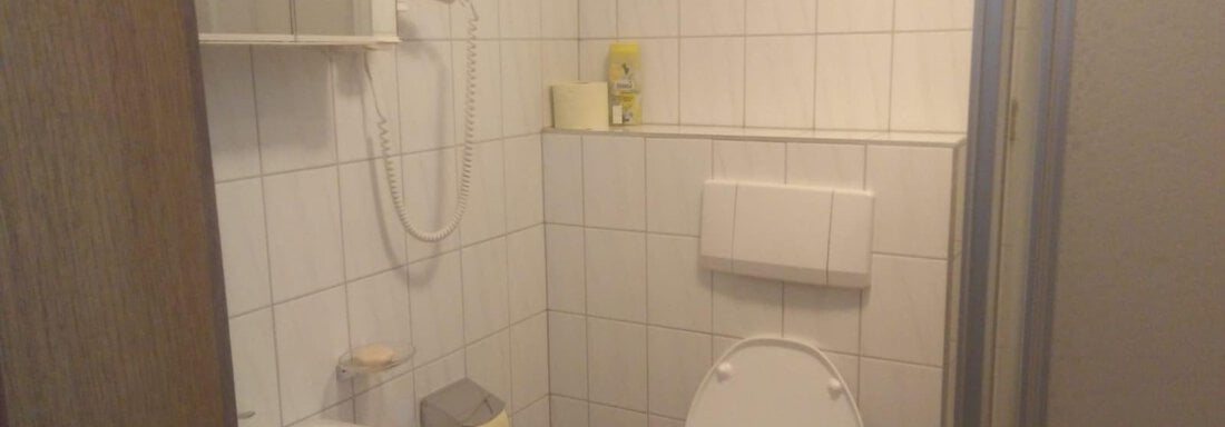 Badezimmer mit Dusche und WC - Haus Bergkristall - Gries