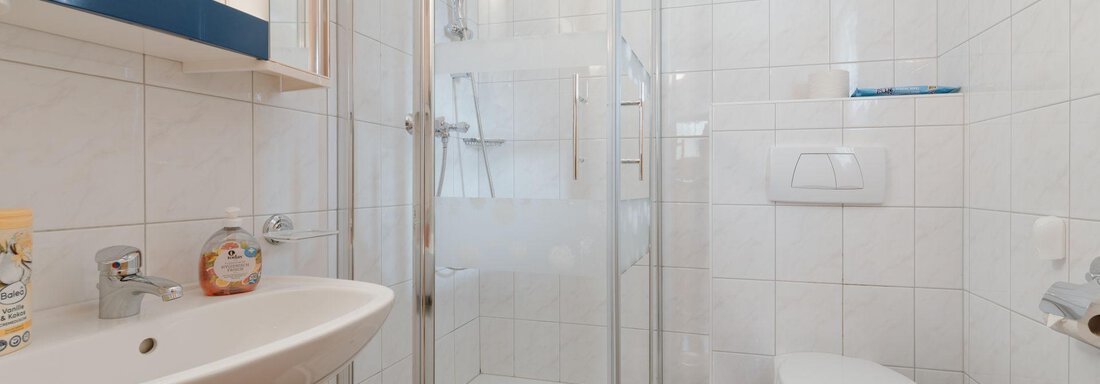 Badezimmer mit Dusche und WC - Haus Schennach - Huben