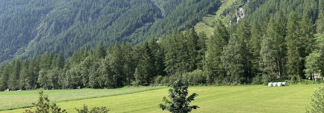 Apart Polltal Aussicht - Apart Armin - Längenfeld