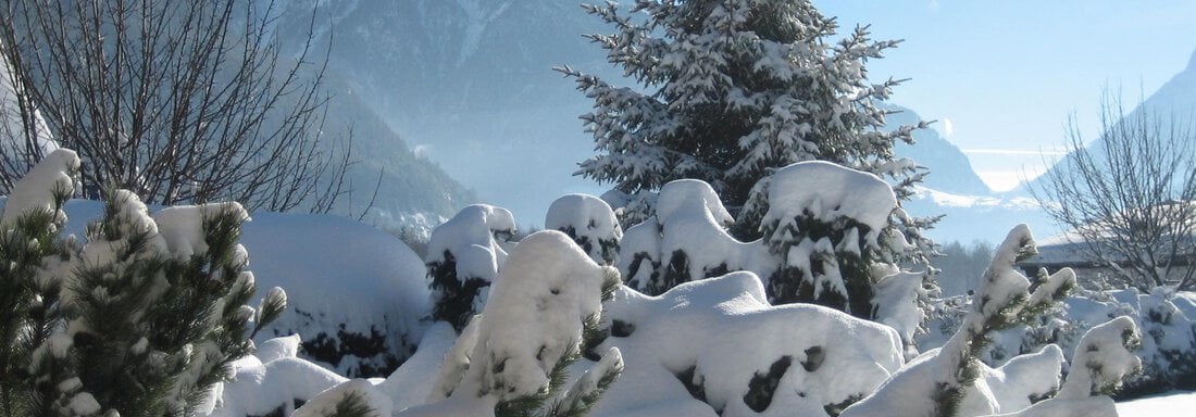 Aussicht von Appartement - Appartement Mrak - Längenfeld