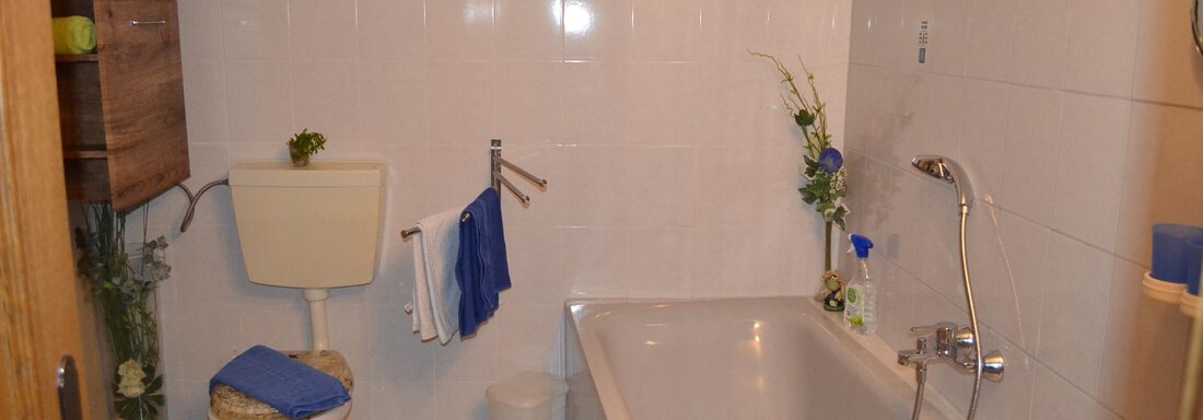 Badezimmer mit Badewanne, Dusche und WC - Appartement Thermenzeit - Längenfeld