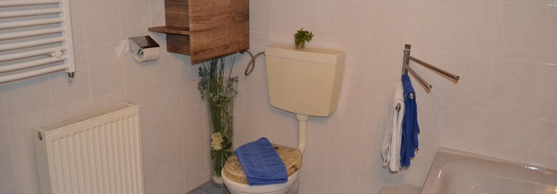 Badezimmer mit Badewanne, Dusche und WC - Appartement Thermenzeit - Längenfeld