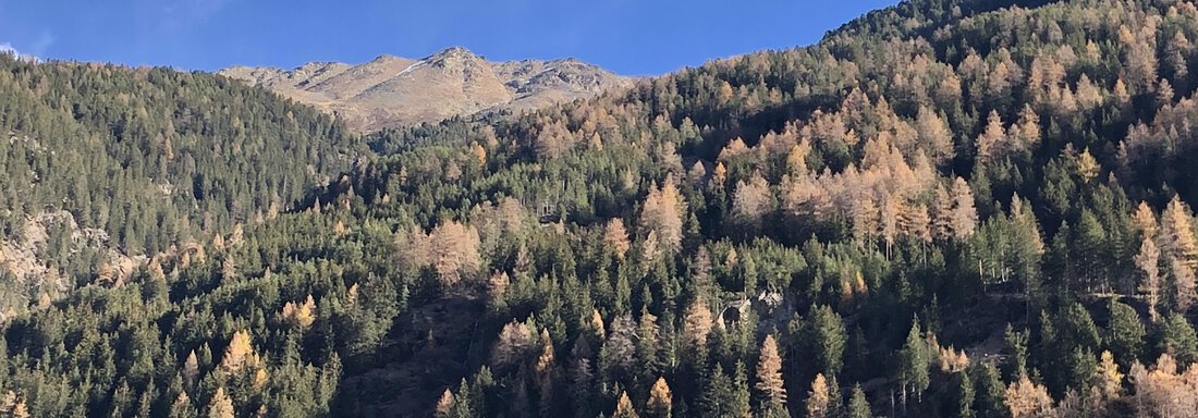 Bergblick - Appartementhaus Raudaschl - Längenfeld