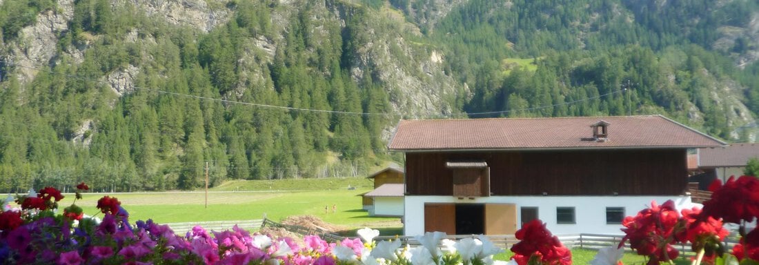 Gamskogel - Aussicht - Appartements Breitlehn - Längenfeld