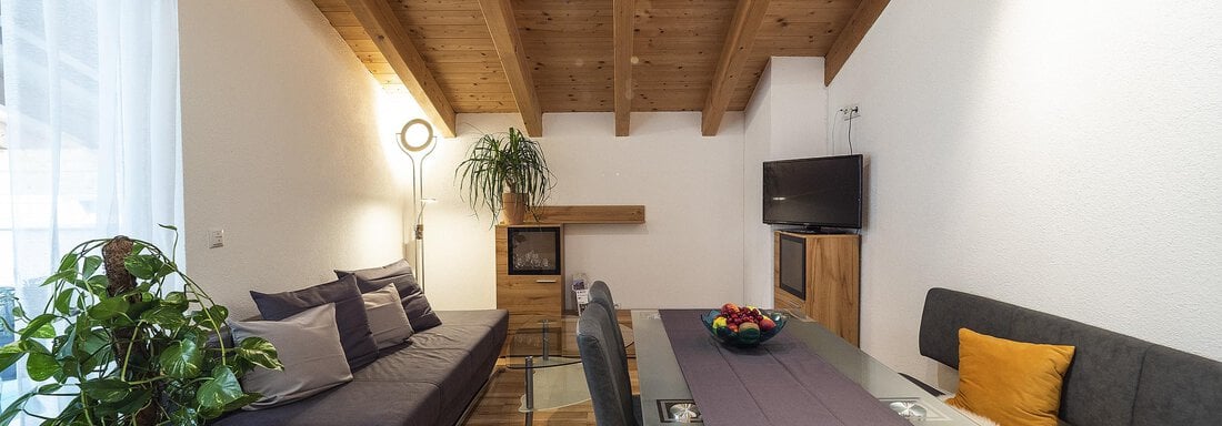 Apart-Elke-Alpenlandschaft-Wohnzimmer-oben - Elke´s Ötztal Apartments - Längenfeld