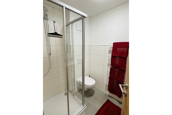 Badezimmer mit Dusche und WC - Gästehaus Lehner-Au - Längenfeld