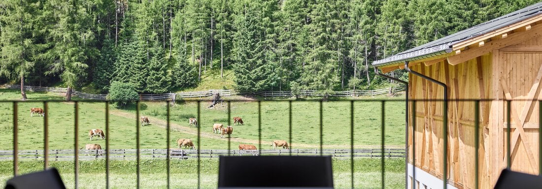 Apartment Hannesn Ausblick vom Balkon - Hannesn Hof FamilyApart - Längenfeld