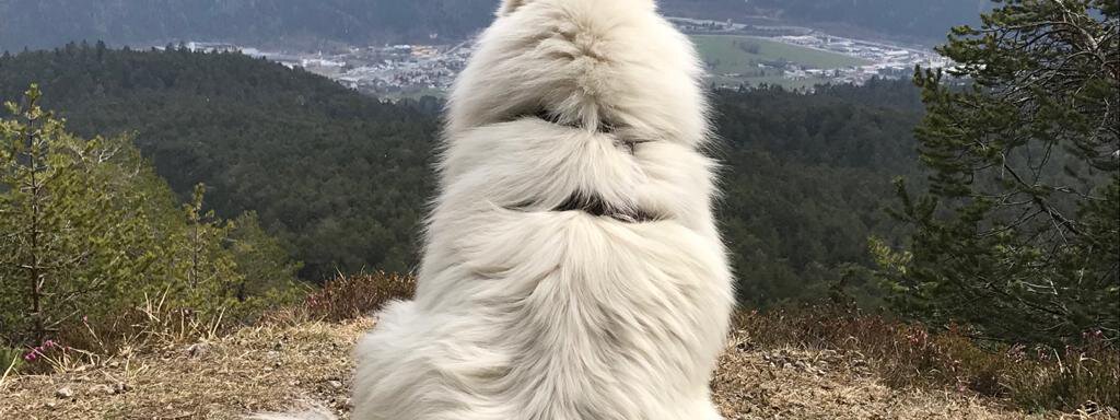 Ausblick über Längenfeld - Haus Alpenflora - Längenfeld