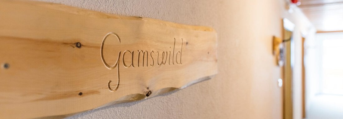 Gamswild - Hotel Falknerhof, am Ursprung - Niederthai