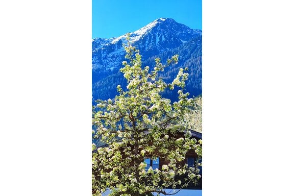 Ein Haus viele Urlaubsmomente - Alpenchalet Valentin - Sautens