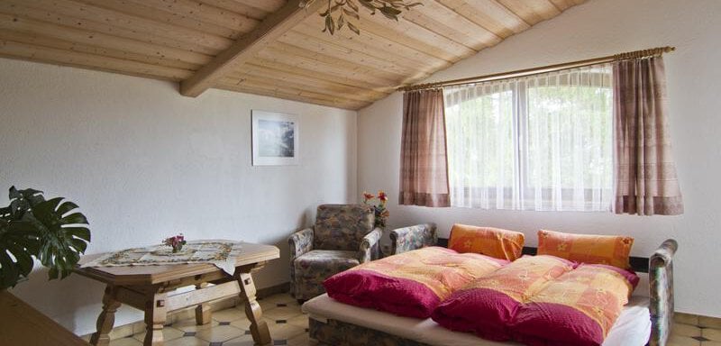 Wohnraum mit Schlafsofa - Apparthotel Riina - Sautens