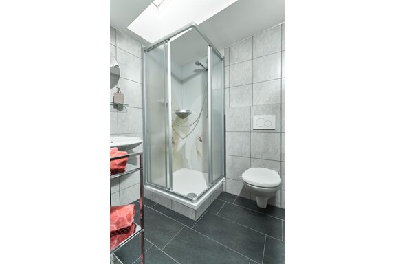 Badezimmer mit Dusche und WC, Zimmer 2 - Freestyle Apartment - Sautens