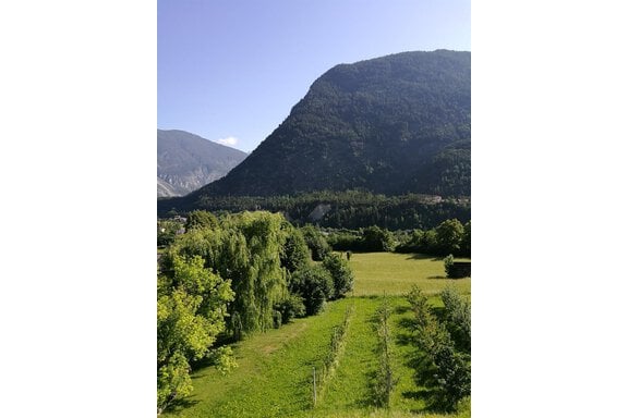 Aussicht - Gästehaus Wiesenheim - Sautens