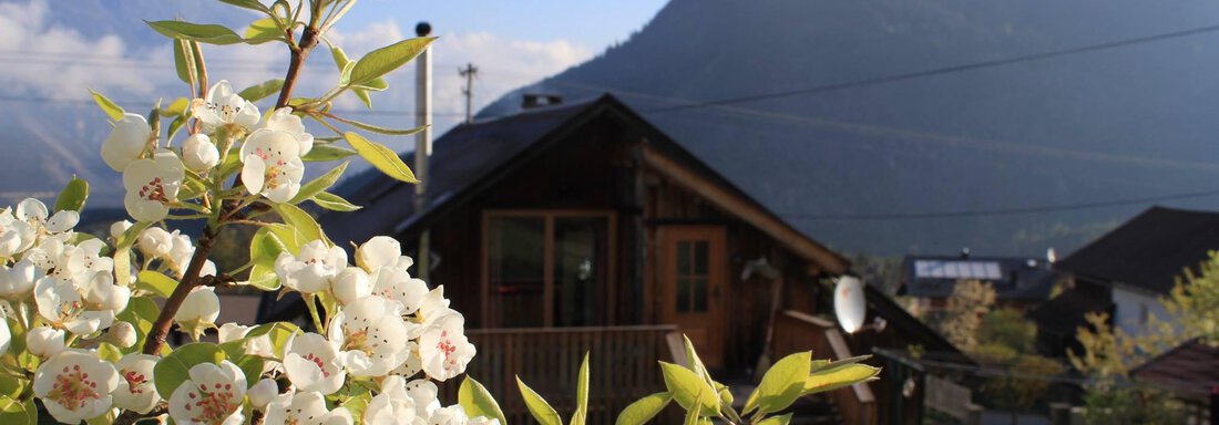 Lente - Haus Sautens - Sautens