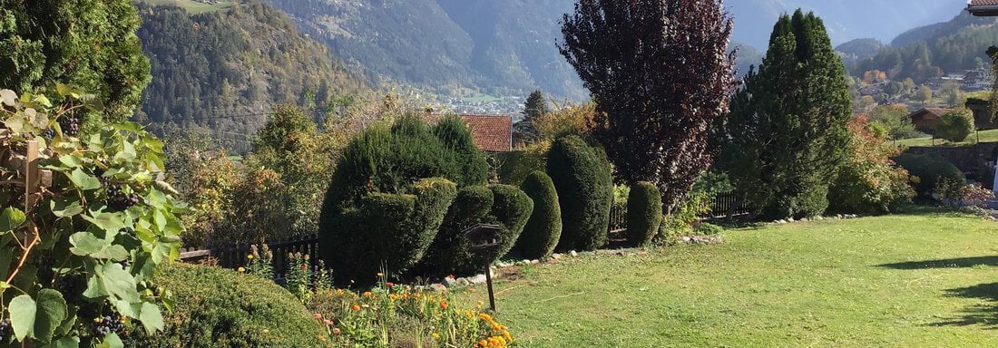 Garten und Blick im Sommer - Urlaub bei der Kräuterpädagogin - Sautens