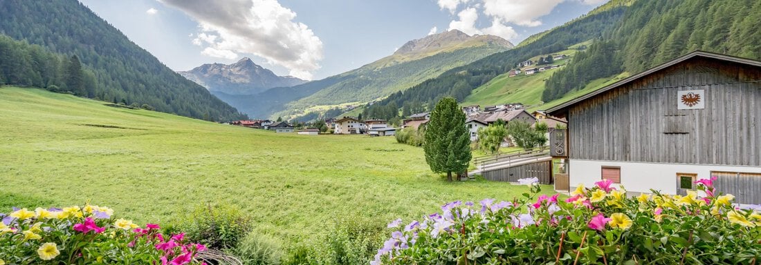 Aussicht - Apart Wiesengrund - Sölden