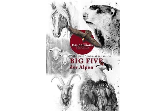 Die "BIG FIVE" der Alpen - Bauernhaus Martinus - Sölden