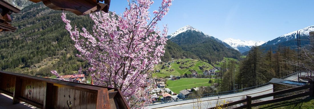 Appt. Aussicht - Haus Alpenstern - Sölden