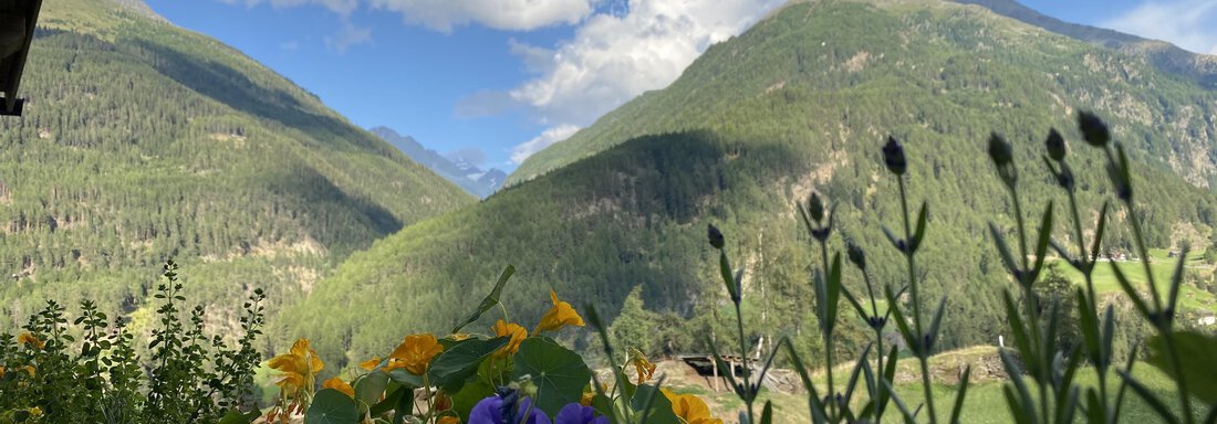 Aussicht Sommer - Haus Florian - Sölden