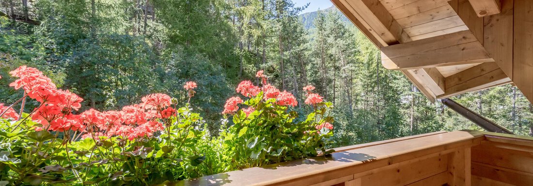 Balkon Süd - Waldhäusl - Sölden