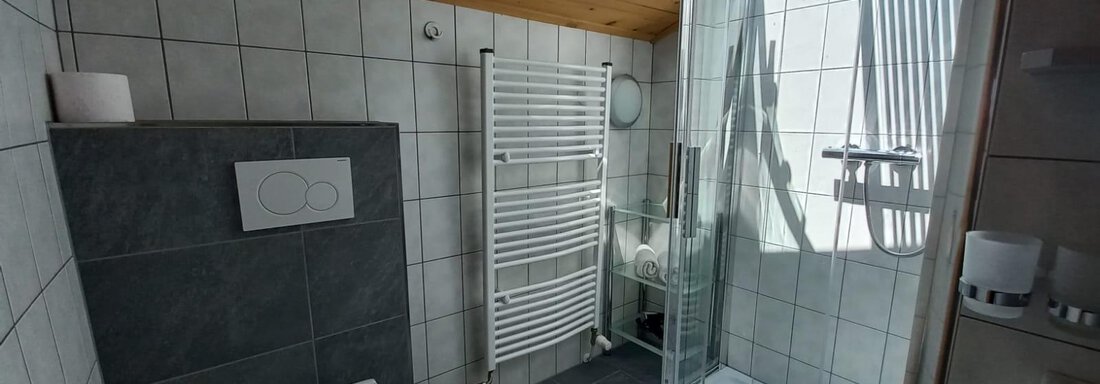 Badezimmer mit Dusche und WC - Haus Domenig - Umhausen